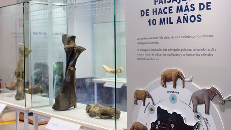 Bajo el nombre de Museo Regional de los Pueblos de Morelos, el INAH reabre el Palacio de Cortés 