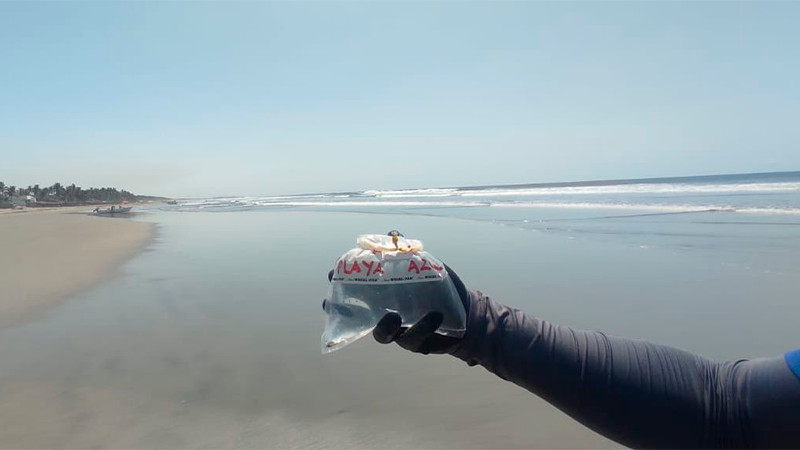 Playas de Michoacán, aptas y seguras para vacacionar en Semana Santa: Salud Michoacán
