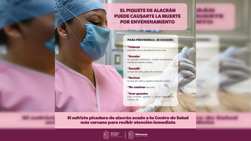 Emite SSM recomendaciones para prevenir picaduras de alacrán 