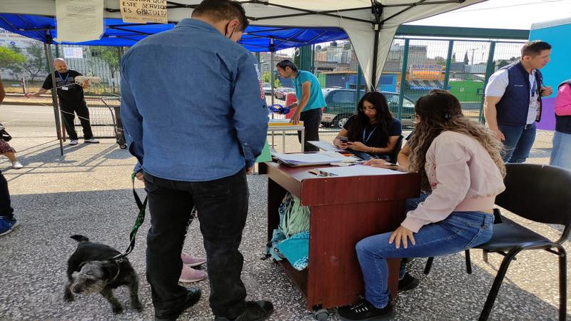 Arranca jornada de esterilización de caninos y felinos en Morelia