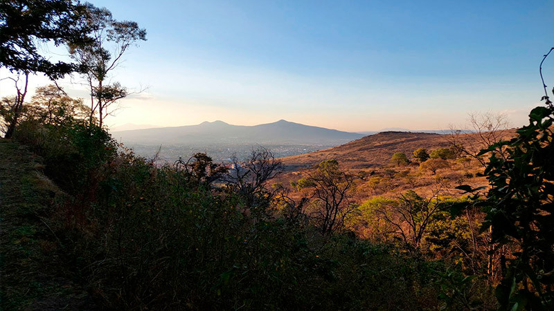 Inicia consulta para decretar como Área Natural Protegida el cerro del Quinceo 