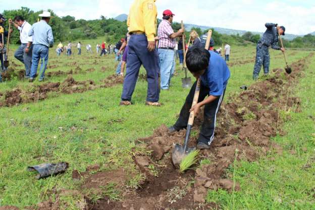 SEMARNACC se une a campaña de reforestación en Capula‏ - Foto 0 