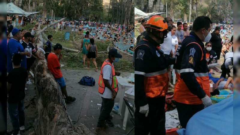 Cae árbol en balneario de Guanajuato; bebé muere aplastado y hay 12 heridos 