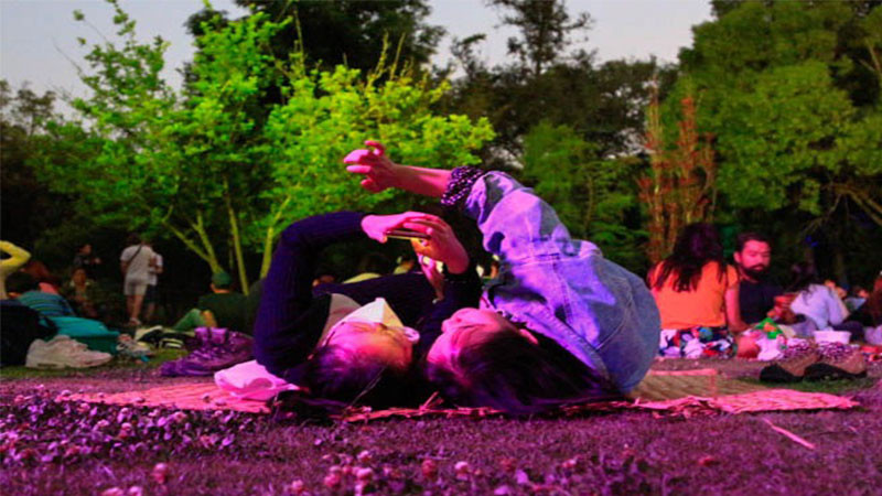 Cinco días de picnics nocturnos en el Bosque Chapultepec