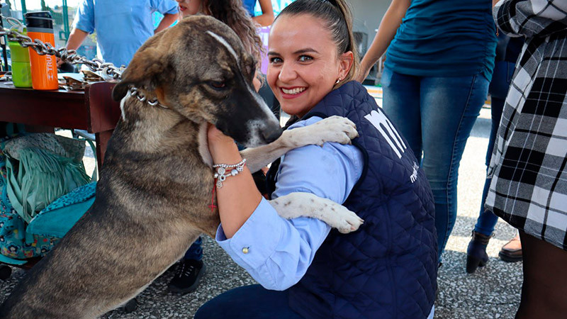 Todo un éxito la Jornada de esterilización de Mascotas en el CM