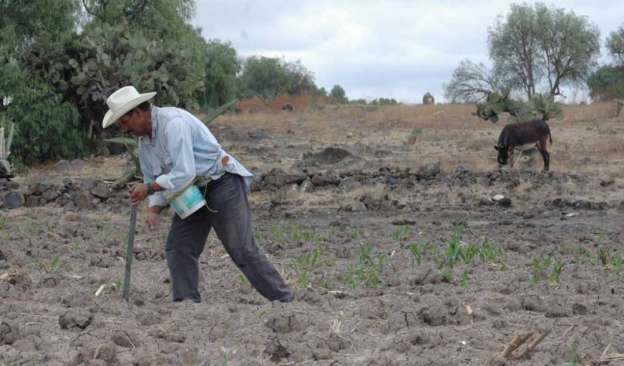 SAGARPA, continúa con la entrega de apoyos para campesinos de Tierra Caliente 
