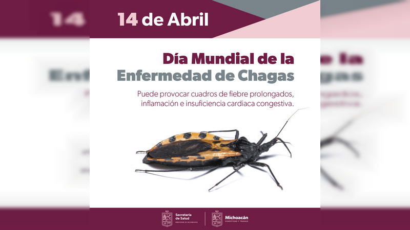 Mantiene Salud Michoacán acciones preventivas ante enfermedad de Chagas 