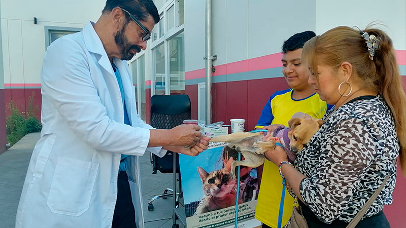 Permanente, vacunación antirrábica felina y canina, en Uruapan: Salud Michoacán  
