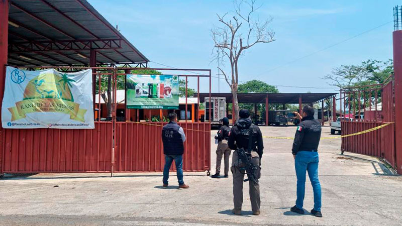 En cateo, aseguran armas y cartuchos dentro de un rancho en Chiapas