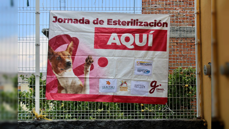 Se suma Icatmi a jornada de esterilización canina y felina del DIF Michoacán