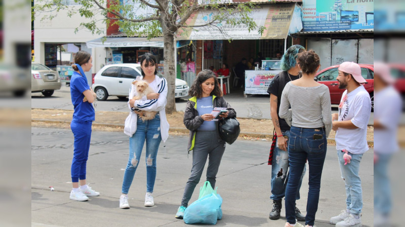 Se suma Icatmi a jornada de esterilización canina y felina del DIF Michoacán