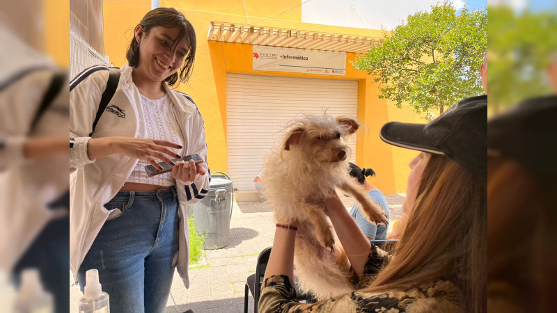 Se suma Icatmi a jornada de esterilización canina y felina del DIF Michoacán