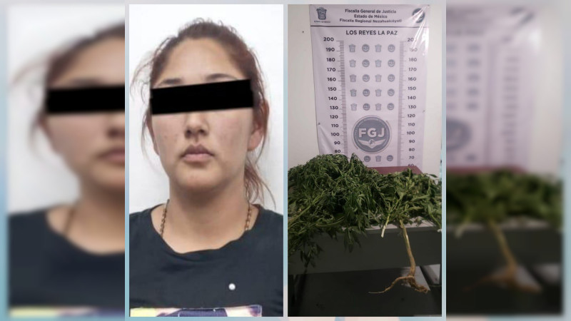 Cateo de la Fiscalía de Nezahualcóyotl a tiendita de droga, deja una mujer detenida 