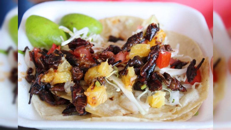 Con gran aceptación concluyó la 2a Feria del Taco de Villas del Pedregal