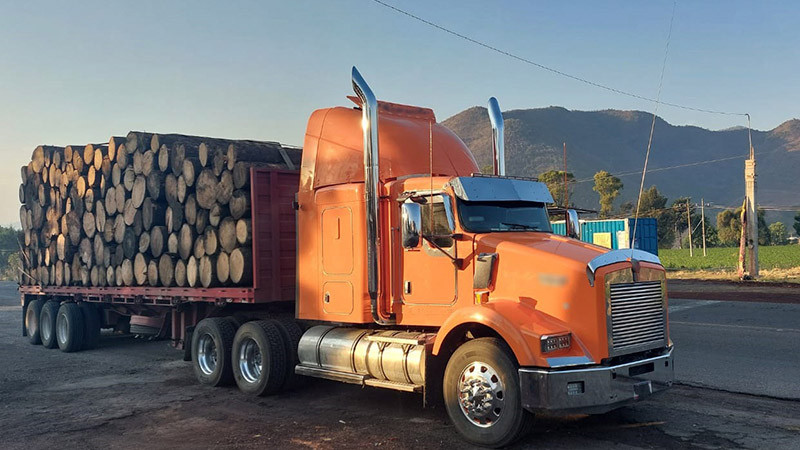 En Michoacán, guardia nacional detiene a conductor y recupera tractocamión cargado con más de 100 troncos de madera 