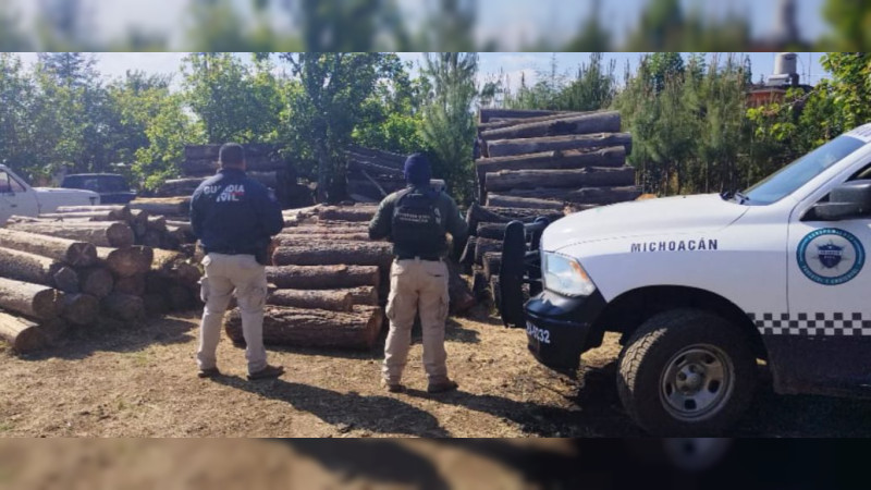Aseguran en Irimbo, Michoacán más de 40 piezas de madera, presuntamente talada ilegalmente