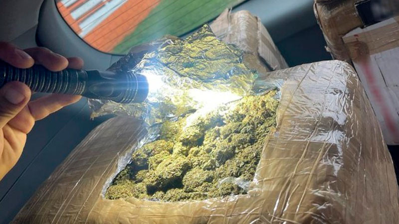 Detectan envío que contenía marihuana en Central de Autobuses de Aguascalientes 