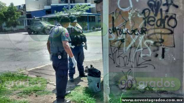 Fuerte movilizaron en Apatzingán, Michoacán, ante restos de animal abandonados  en cubeta  - Foto 0 