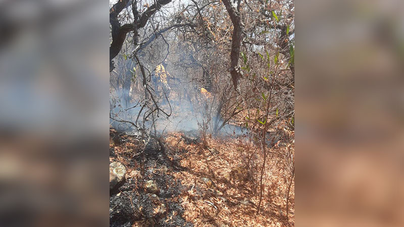 Atiende Gobierno de Michoacán incendio forestal en cerro de la Beata, en Zamora 