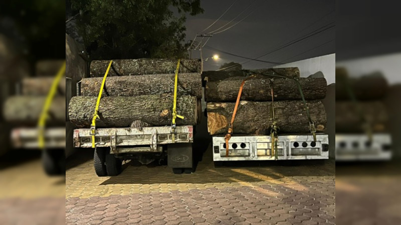Aseguran camionetas y madera de talamontes en Morelos 