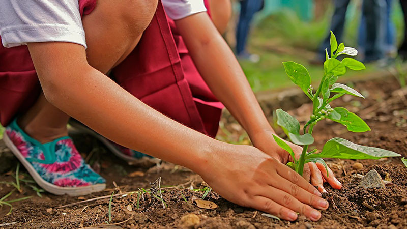 Las y los niños nos enseñan cómo reducir el impacto ambiental y proteger nuestro planeta