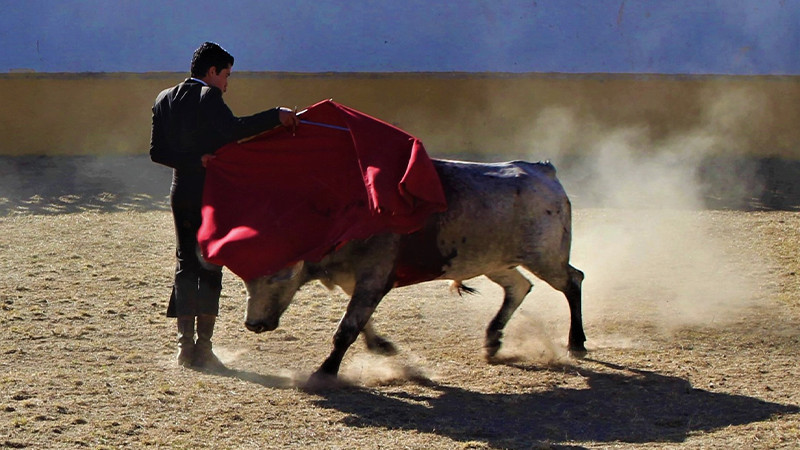 En Puerta las corridas del pueblo en la monumental de Morelia, torean Calita, Moso y 6 más