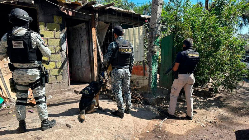 En Morelia, Michoacán aseguran diversas cantidades de drogas en una vivienda  