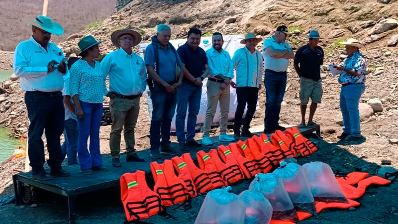 Compesca siembra 75 mil crías de tilapia en presa Francisco J. Múgica, en Michoacán