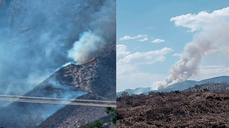 Incendio forestal ‘devora’ parte de la Sierra Gorda de Hidalgo 