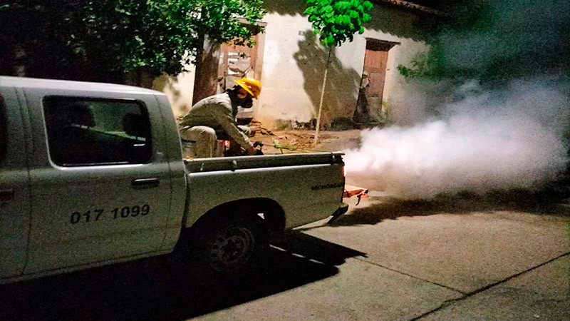 Michoacán se mantiene debajo de la media nacional en casos de dengue: SSM 