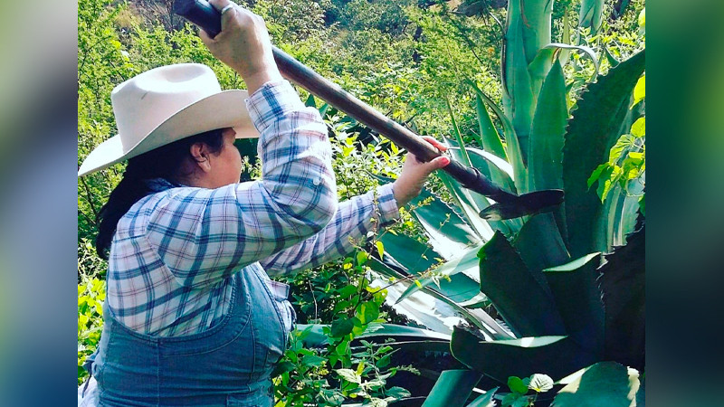 Mujeres del mezcal en Michoacán, tema de documental del Concours Mondial de Bruxelles