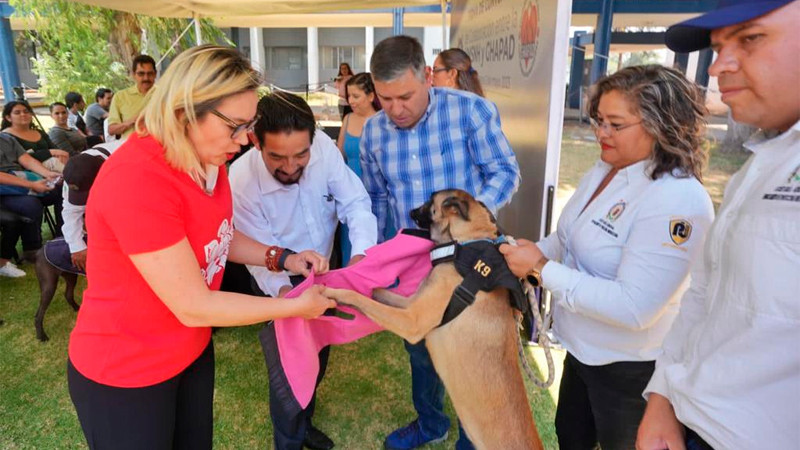 UMSNH adopta caninos para fortalecer la vigilancia en Ciudad Universitaria