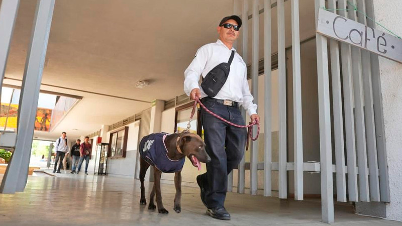UMSNH adopta caninos para fortalecer la vigilancia en Ciudad Universitaria