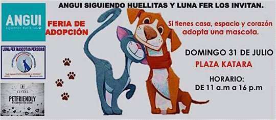 Fin de semana de adopción de mascotas 
