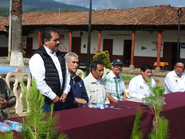 Anuncia diputado José Guadalupe Aguilera campaña de reforestación en Cuanajo, Michoacán - Foto 0 