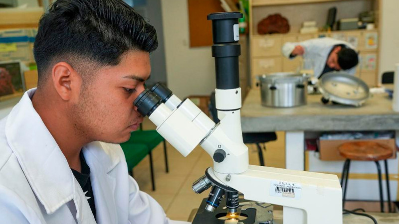 Lanzará la UMSNH poderosa estrategia antiplagio, en el estado de Michoacán