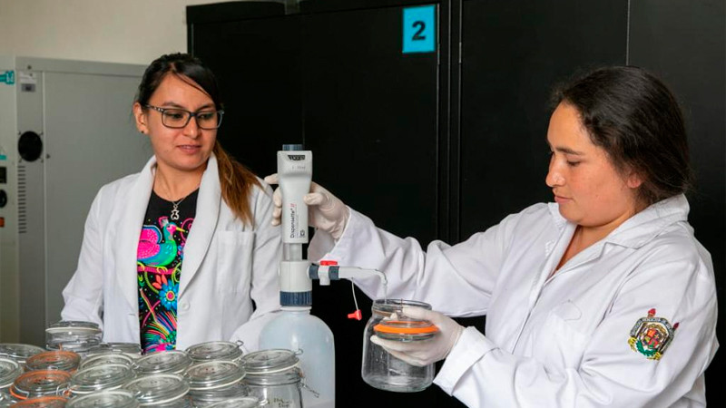 Lanzará la UMSNH poderosa estrategia antiplagio, en el estado de Michoacán