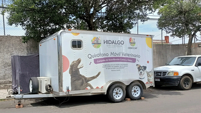 Se llevan a cabo, con éxito, Jornadas de Esterilización de Canina y Felina en la Tenencia de San Pedro Jácuaro y Ciudad Hidalgo 