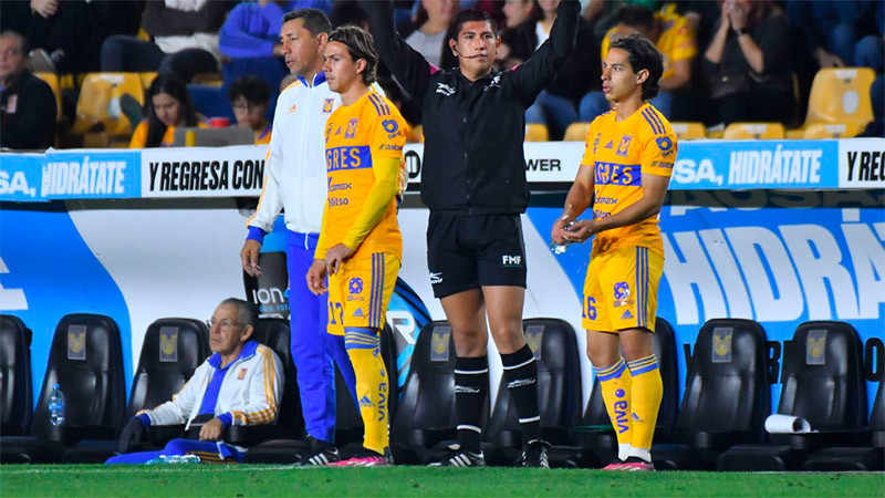 Tigres logra el pase a Liguilla tras eliminar al Puebla 