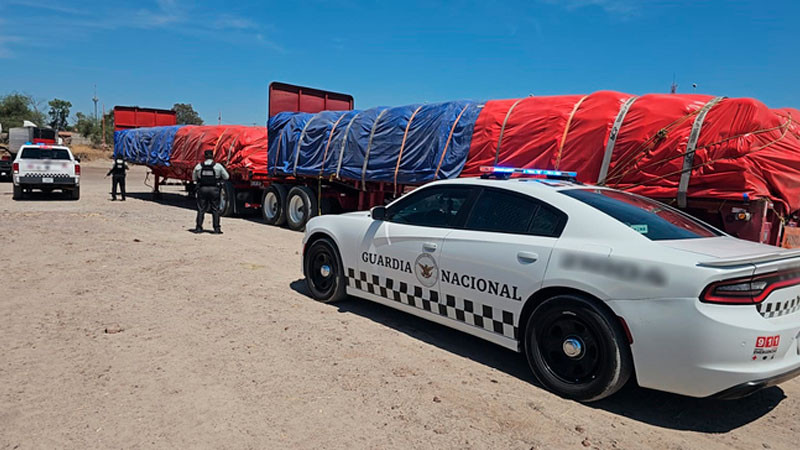 Recuperan camión y 50 toneladas de maíz con reporte de robo, en Guanajuato 