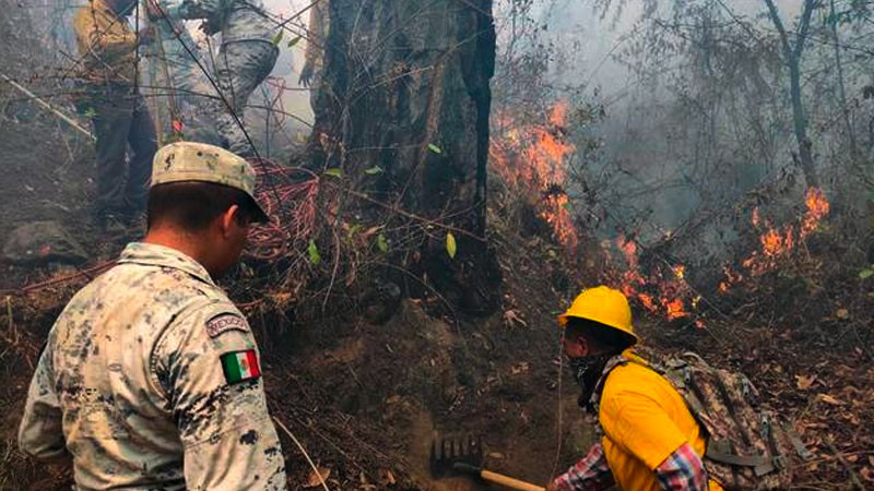 Mantienen aplicación del Plan GN-A para sofocar incendio forestal en ...