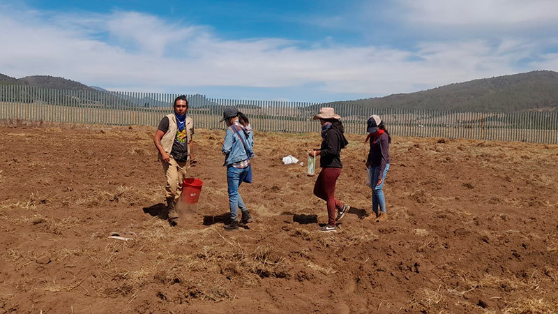 Fomenta UIIM prácticas agrícolas sustentables entre sus estudiantes de Tingambato 