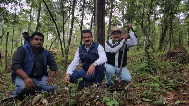 Arrancó una campaña de reforestación en San Miguel del Monte 