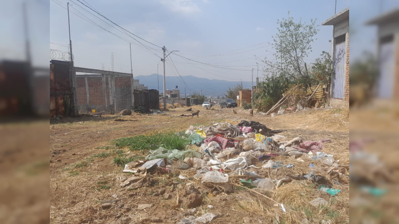 Exigen habitantes de Ciudad Jardín servicios en su colonia