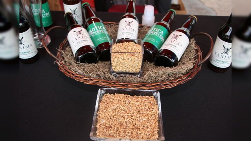 Este fin de semana se llevó a cabo la cuarta edición de  “CerveArte 2023”, en Ciudad Hidalgo