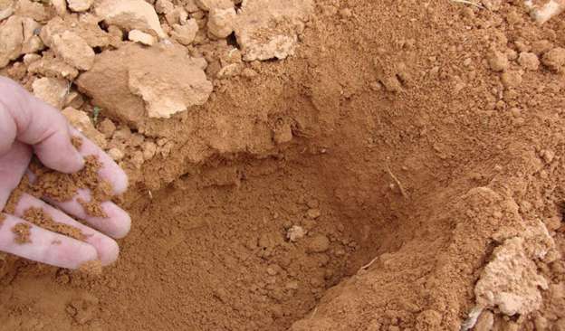 En el campus Morelia de la UNAM, primer laboratorio sobre magnetismo edáfico en el país 