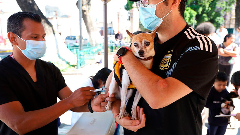 Continúa jornada de vacunación antirrábica canina y felina en Morelia