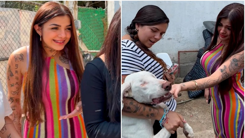 Karely Ruiz visita refugio de animales y realiza gran donativo 