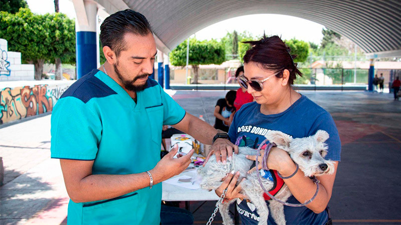 En Querétaro, Ley de Bienestar Animal, lista para fin de mes: Ricardo Astudillo 