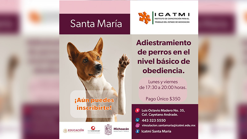 Ofrece Icatmi en Morelia 4 nuevos cursos de capacitación